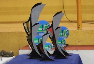 diamantino | Robson bastos